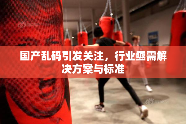 国产乱码引发关注，行业亟需解决方案与标准