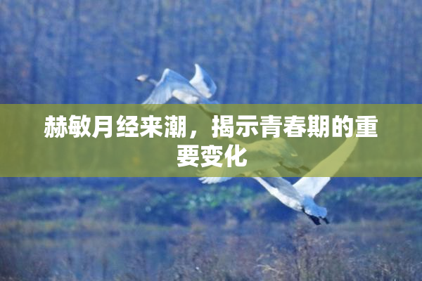 赫敏月经来潮，揭示青春期的重要变化