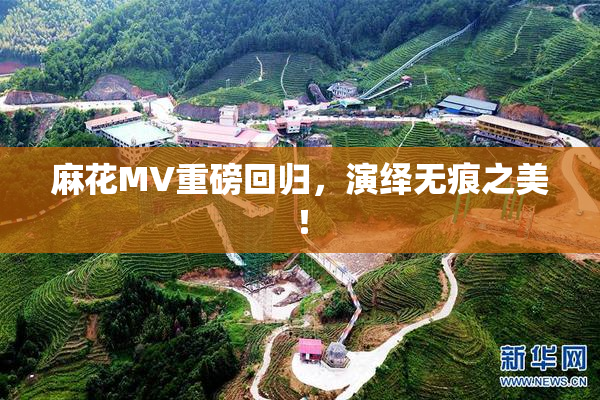 麻花MV重磅回归，演绎无痕之美！