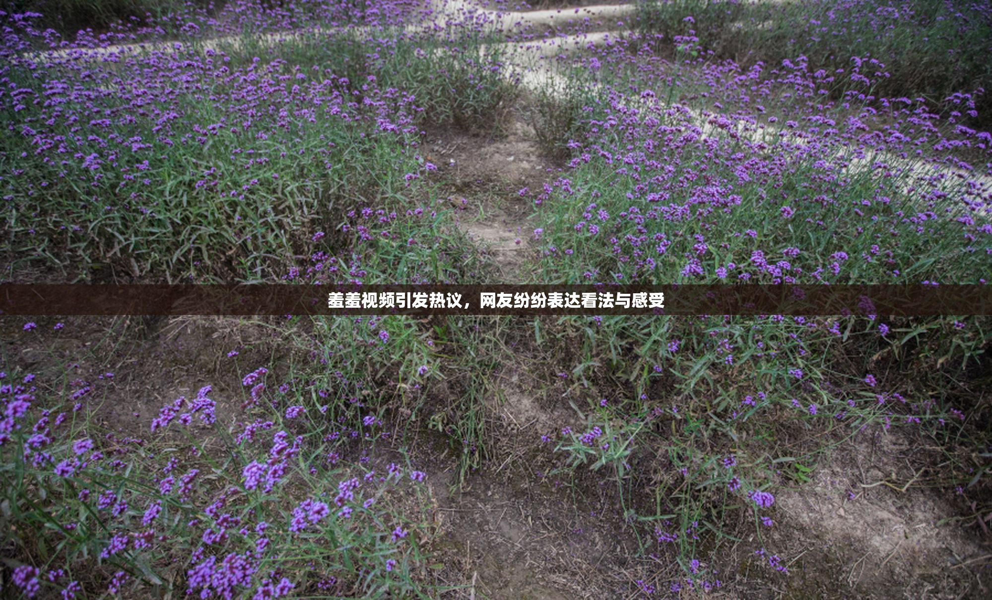 羞羞视频引发热议，网友纷纷表达看法与感受