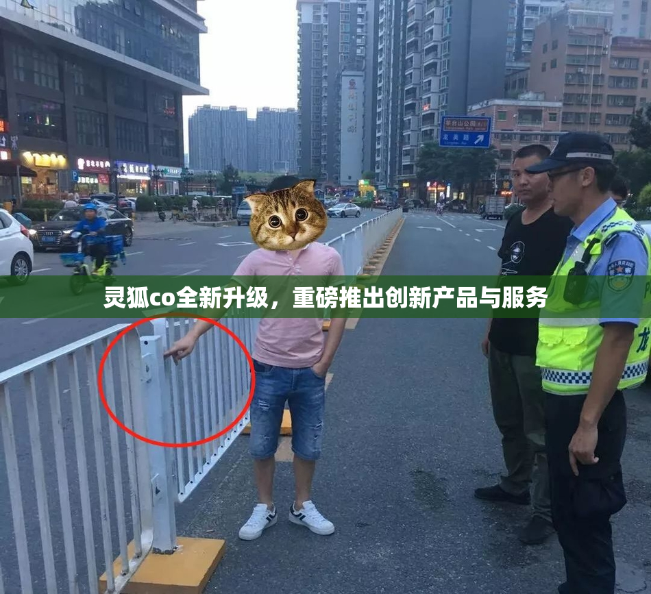 灵狐co全新升级，重磅推出创新产品与服务