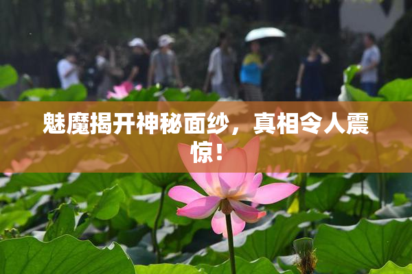魅魔揭开神秘面纱，真相令人震惊！
