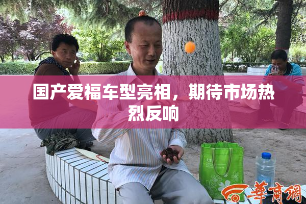 国产爱福车型亮相，期待市场热烈反响
