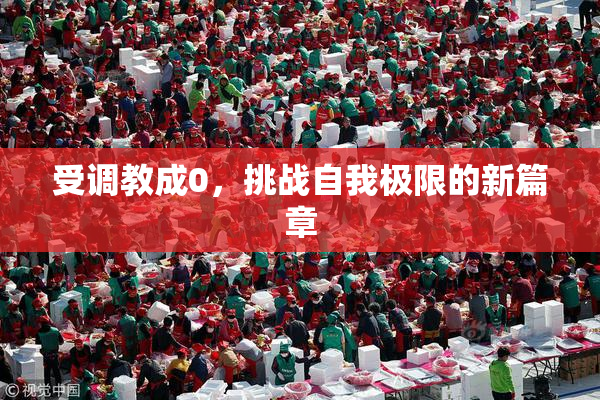 受调教成0，挑战自我极限的新篇章