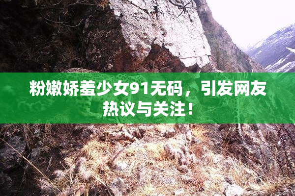 粉嫩娇羞少女91无码，引发网友热议与关注！