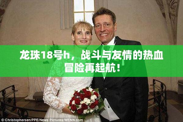 龙珠18号h，战斗与友情的热血冒险再起航！