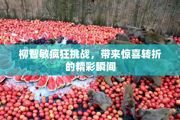 柳智敏疯狂挑战，带来惊喜转折的精彩瞬间
