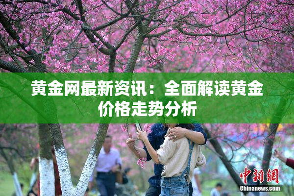 黄金网最新资讯：全面解读黄金价格走势分析