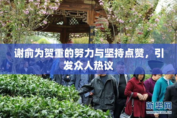 谢俞为贺重的努力与坚持点赞，引发众人热议