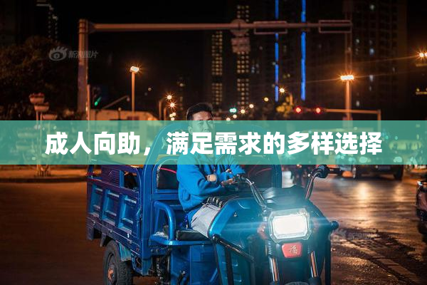 成人向助，满足需求的多样选择