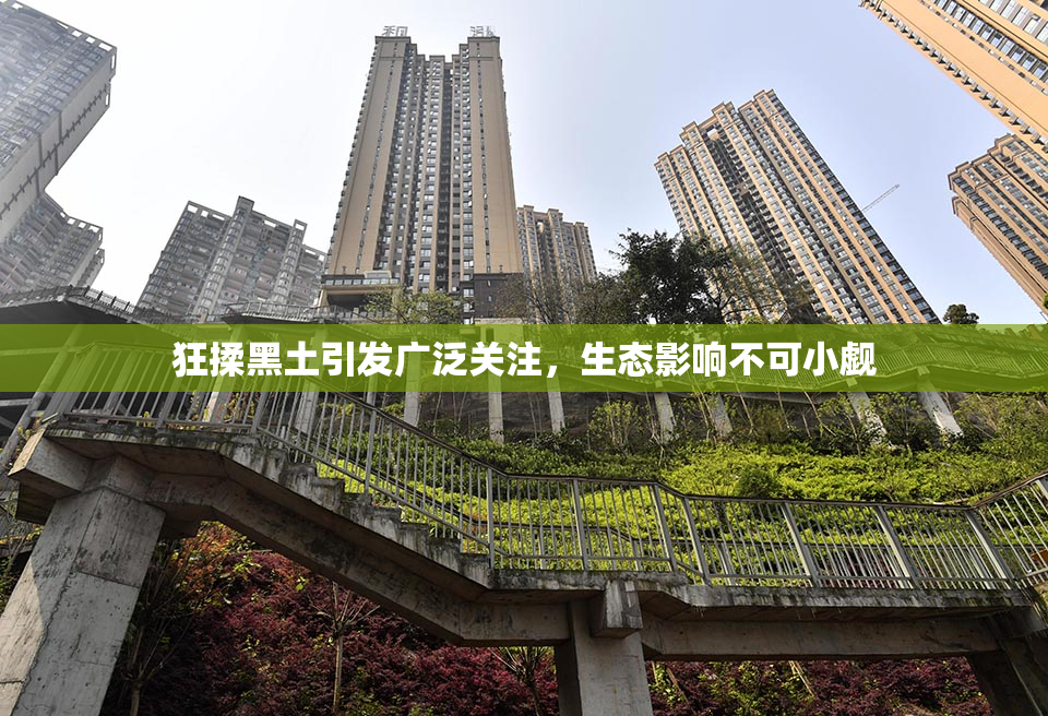 狂揉黑土引发广泛关注，生态影响不可小觑