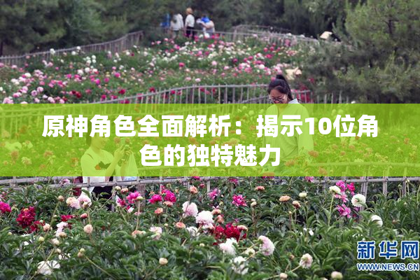 原神角色全面解析：揭示10位角色的独特魅力