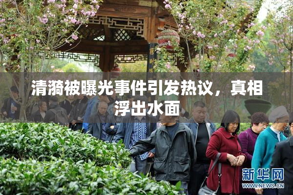 清漪被曝光事件引发热议，真相浮出水面