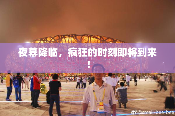 夜幕降临，疯狂的时刻即将到来！