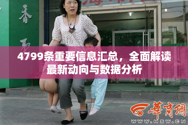 4799条重要信息汇总，全面解读最新动向与数据分析