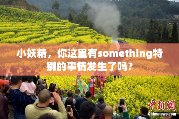 小妖精，你这里有something特别的事情发生了吗？
