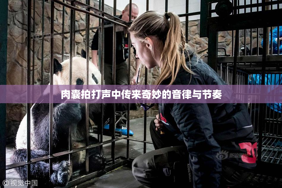 肉囊拍打声中传来奇妙的音律与节奏