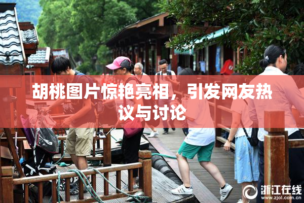 胡桃图片惊艳亮相，引发网友热议与讨论