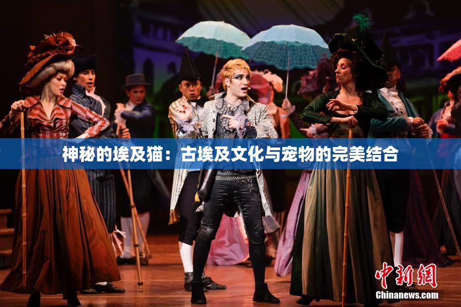 神秘的埃及猫：古埃及文化与宠物的完美结合