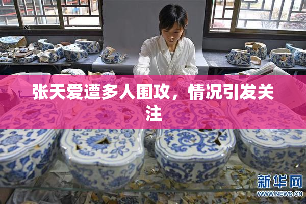 张天爱遭多人围攻，情况引发关注