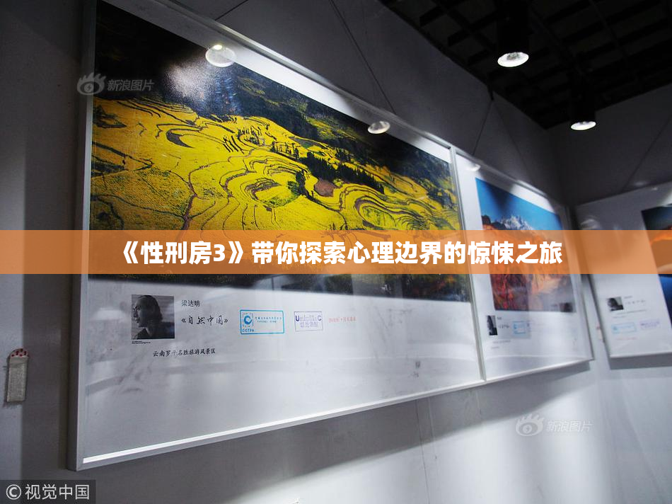 《性刑房3》带你探索心理边界的惊悚之旅