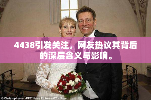 4438引发关注，网友热议其背后的深层含义与影响。