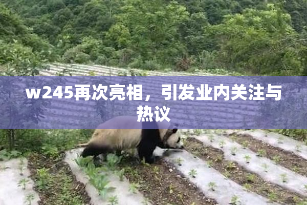w245再次亮相，引发业内关注与热议