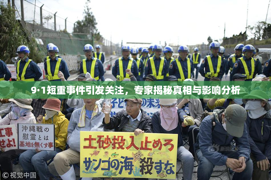 9·1短重事件引发关注，专家揭秘真相与影响分析