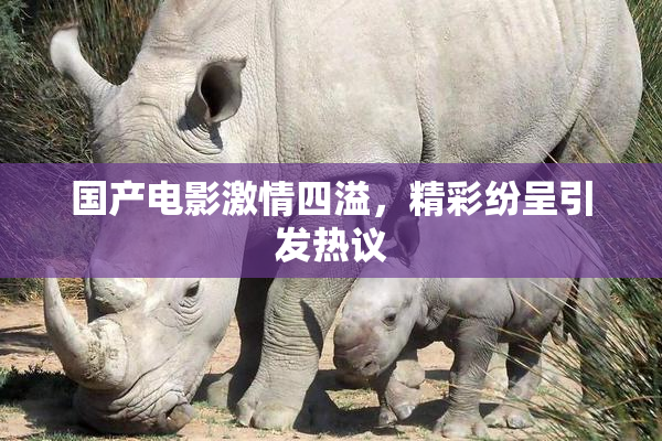 国产电影激情四溢，精彩纷呈引发热议