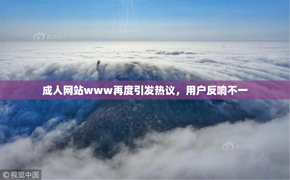成人网站www再度引发热议，用户反响不一