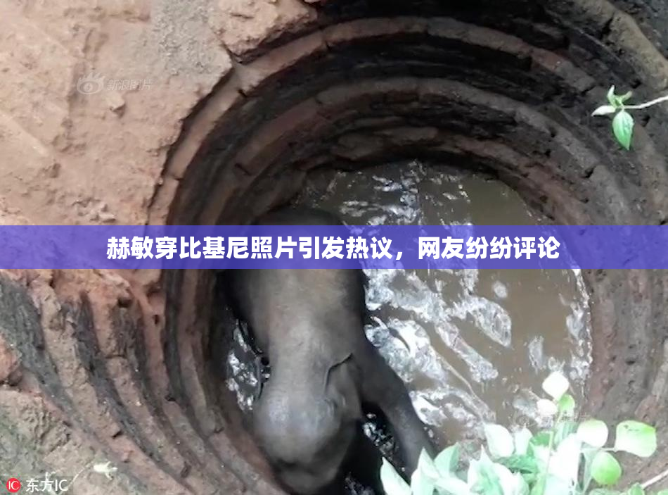 赫敏穿比基尼照片引发热议，网友纷纷评论