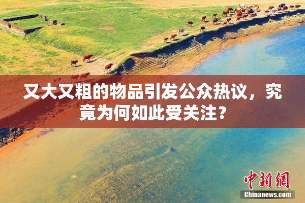 又大又粗的物品引发公众热议，究竟为何如此受关注？