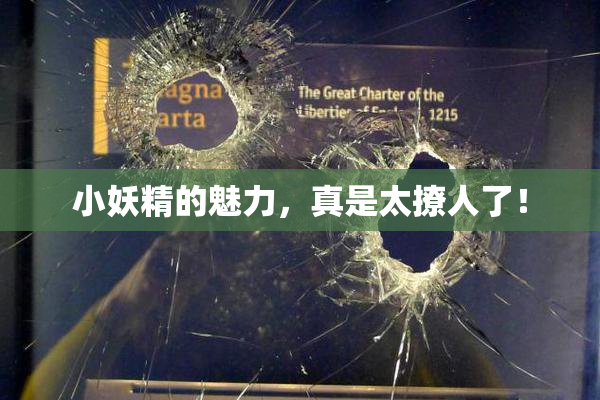 小妖精的魅力，真是太撩人了！