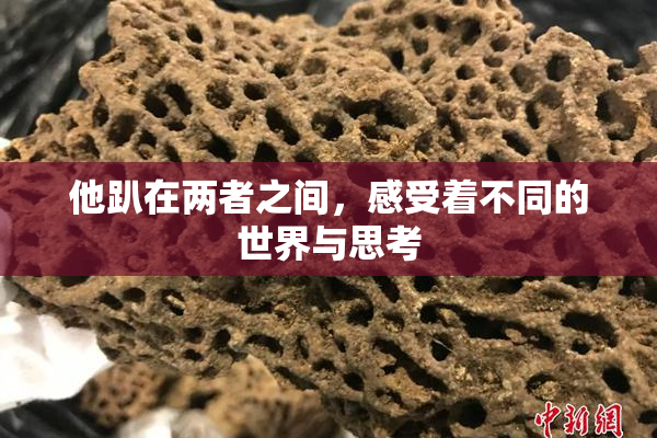 他趴在两者之间，感受着不同的世界与思考