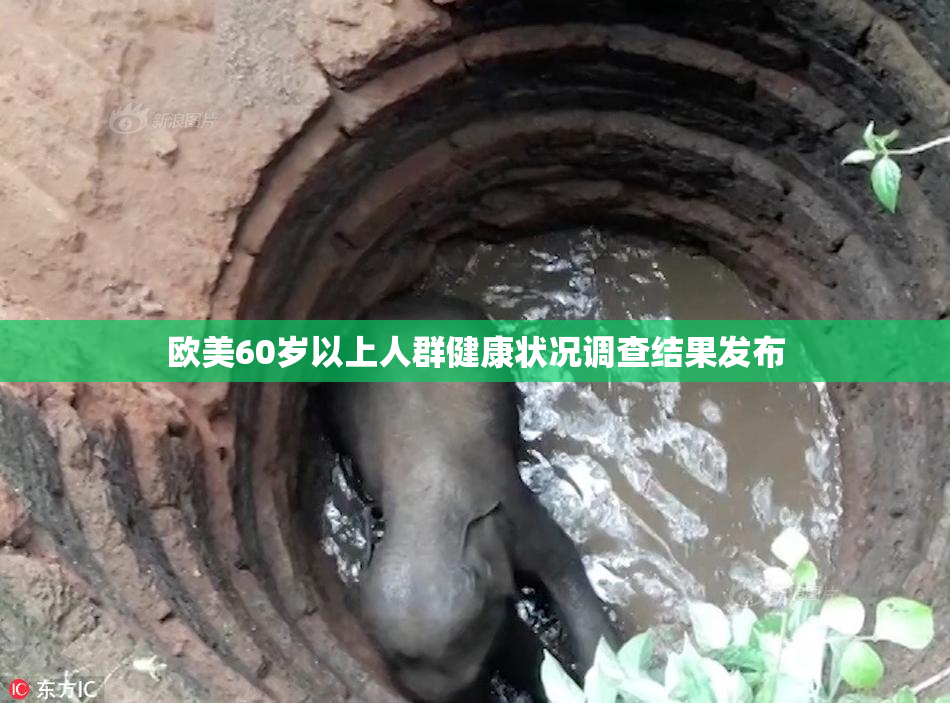 欧美60岁以上人群健康状况调查结果发布