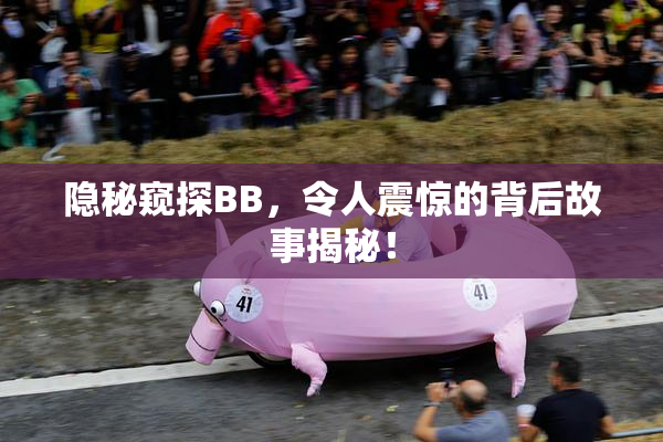 隐秘窥探BB，令人震惊的背后故事揭秘！