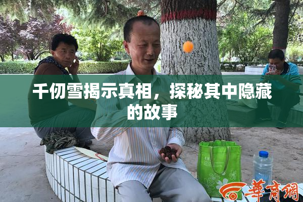 千仞雪揭示真相，探秘其中隐藏的故事