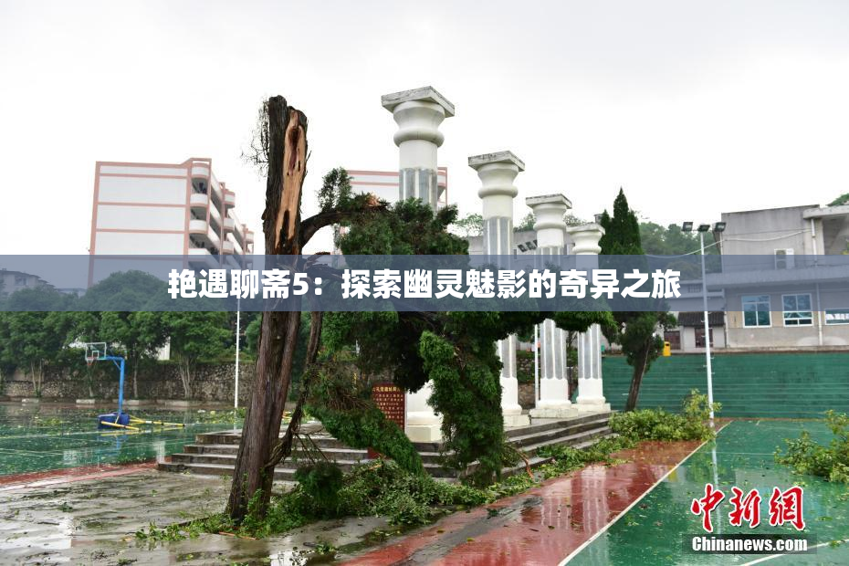 艳遇聊斋5：探索幽灵魅影的奇异之旅