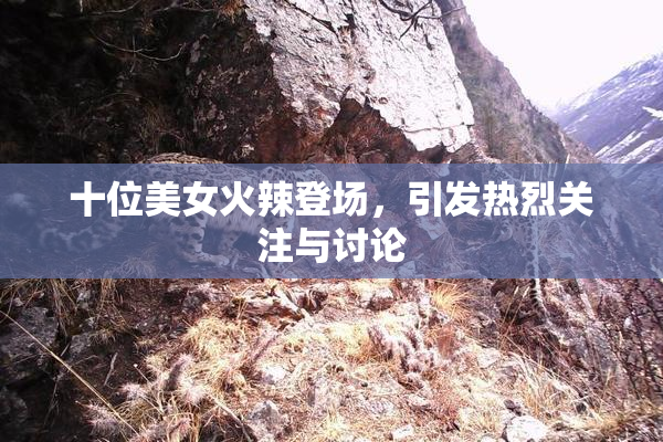 十位美女火辣登场，引发热烈关注与讨论