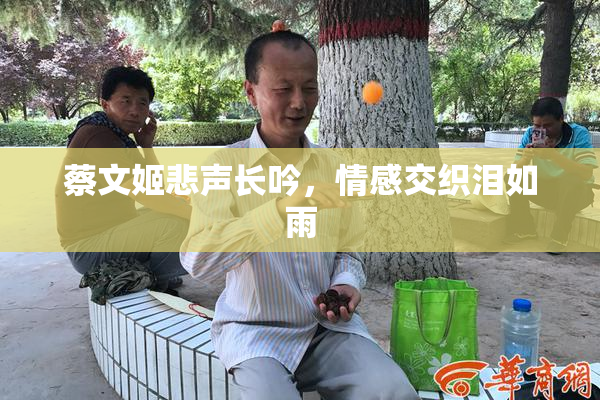 蔡文姬悲声长吟，情感交织泪如雨