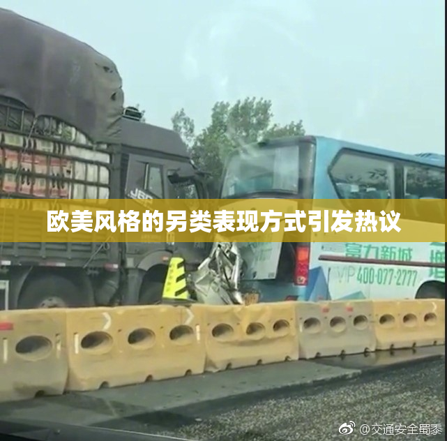欧美风格的另类表现方式引发热议