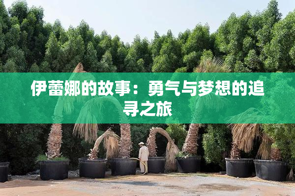 伊蕾娜的故事：勇气与梦想的追寻之旅