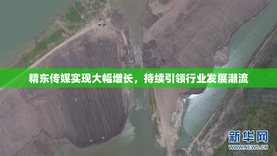 精东传媒实现大幅增长，持续引领行业发展潮流