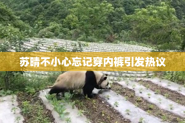 苏晴不小心忘记穿内裤引发热议