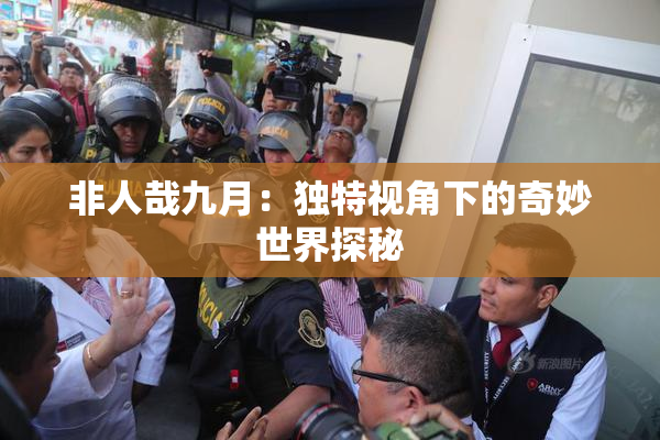 非人哉九月：独特视角下的奇妙世界探秘