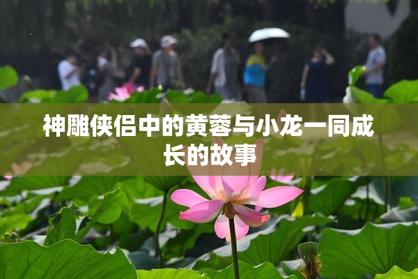 神雕侠侣中的黄蓉与小龙一同成长的故事