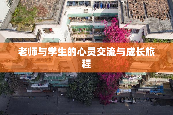 老师与学生的心灵交流与成长旅程