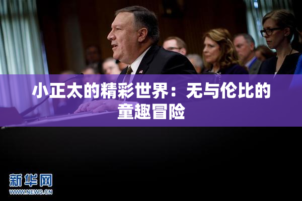 小正太的精彩世界：无与伦比的童趣冒险