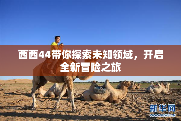 西西44带你探索未知领域，开启全新冒险之旅
