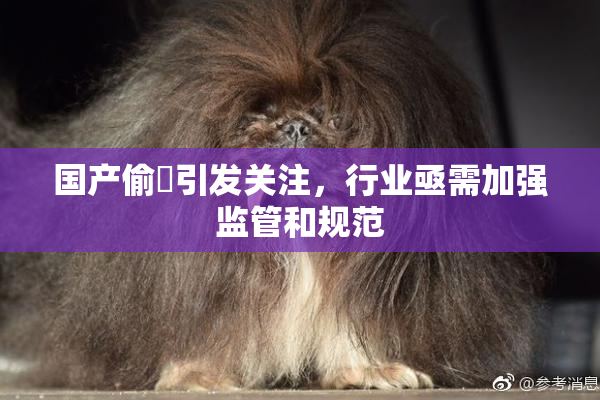 国产偷抇引发关注，行业亟需加强监管和规范